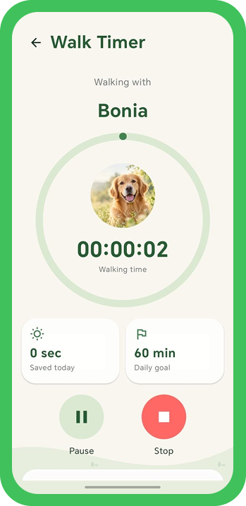Pet Walkivo car dashboard